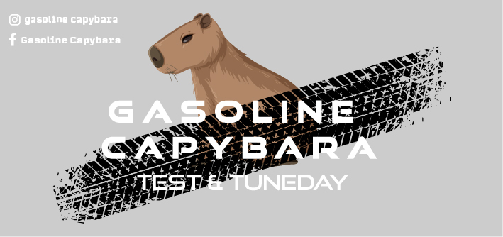 Gasoline Capybara